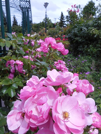 f0036820_1258675.jpg