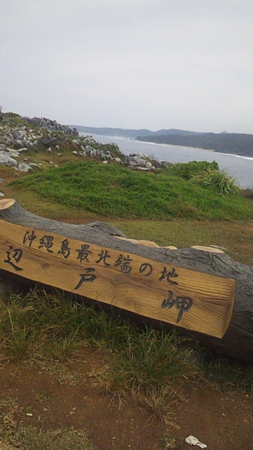a0167335_2061054.jpg