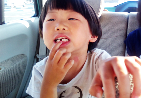 d0351435_15285861.jpg