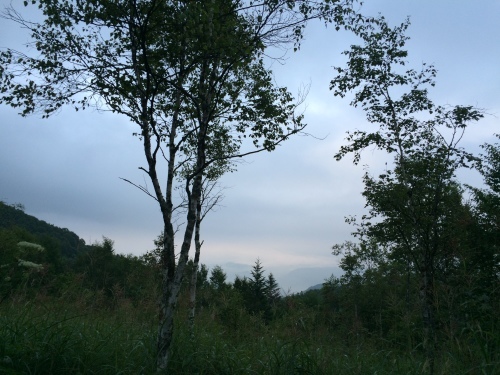 f0335539_18170798.jpg