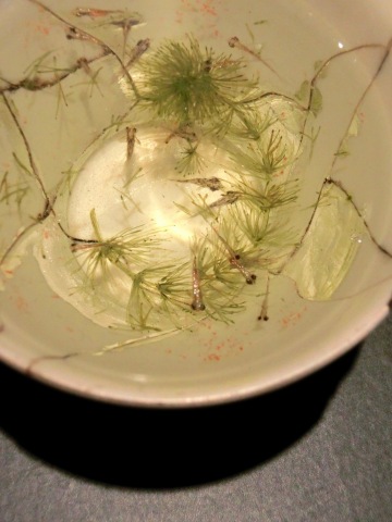 e0045768_21425196.jpg