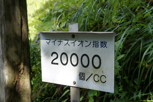 e0177271_17003280.jpg