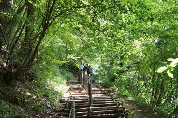 e0177271_17004294.jpg