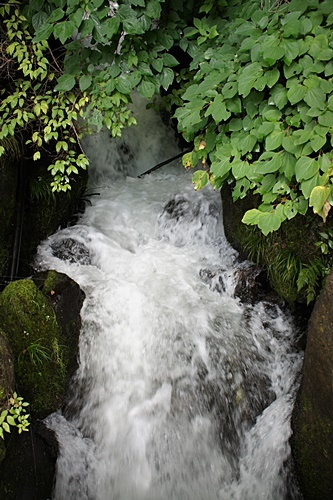 e0177271_17010755.jpg