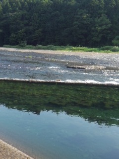 f0112873_1712792.jpg