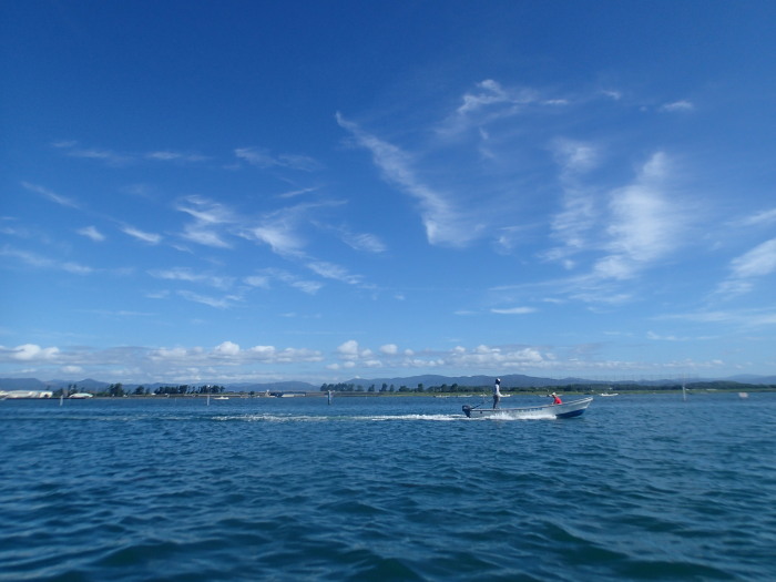 c0197578_8125336.jpg