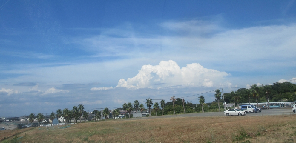 f0053885_2221987.jpg