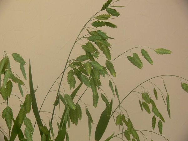 e0140986_152720100.jpg