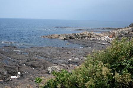 c0013687_22281844.jpg