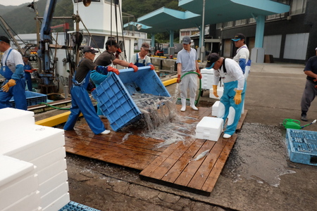 c0013687_229499.jpg