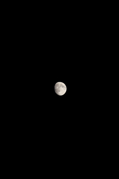 e0051888_55673.jpg