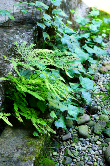 c0242791_15441323.jpg