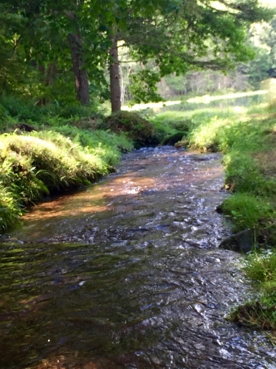 a0146493_20504406.jpg