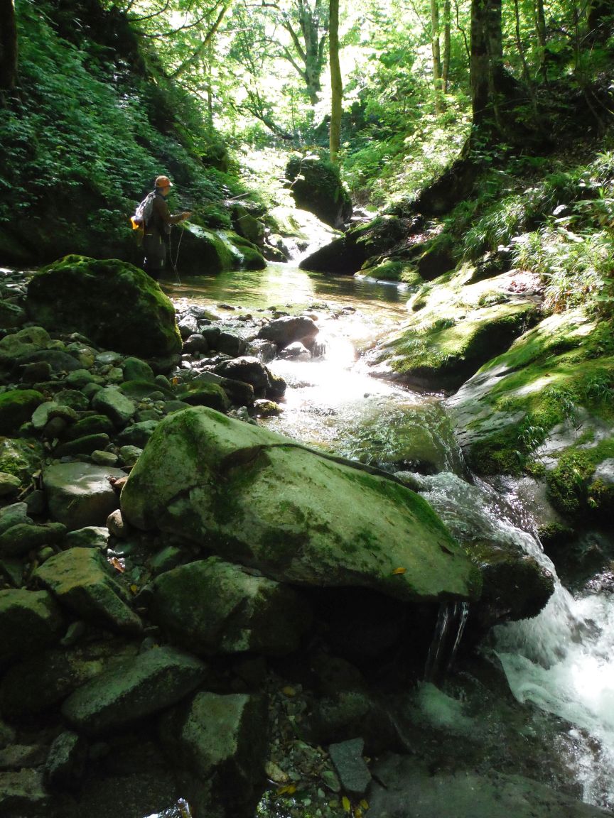 b0172805_100527.jpg