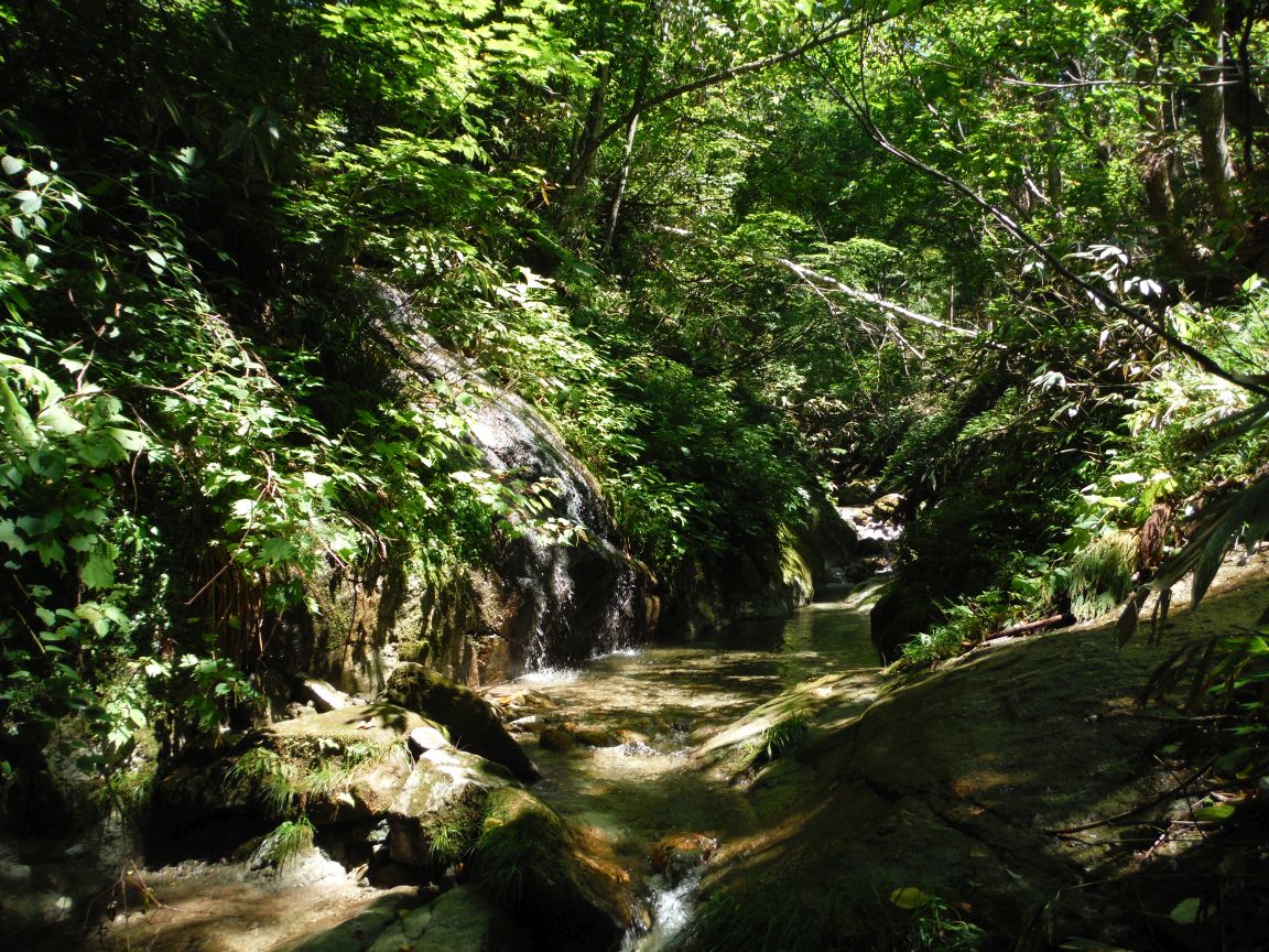 b0172805_105464.jpg