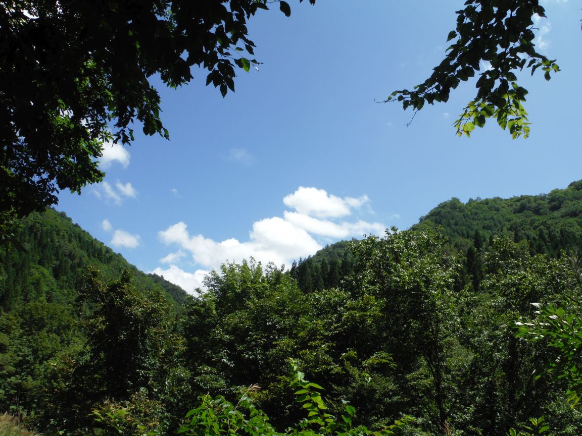 b0172805_1064530.jpg