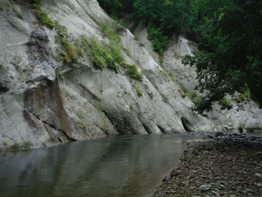 b0172805_9392122.jpg