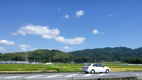 b0307008_21380991.jpg