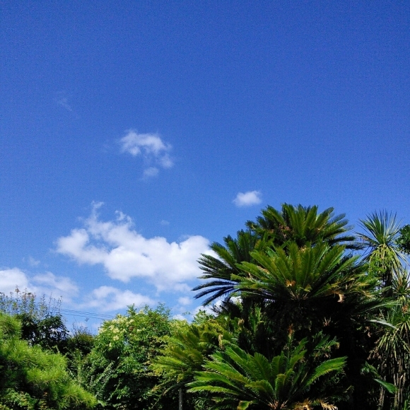 b0307008_21381248.jpg