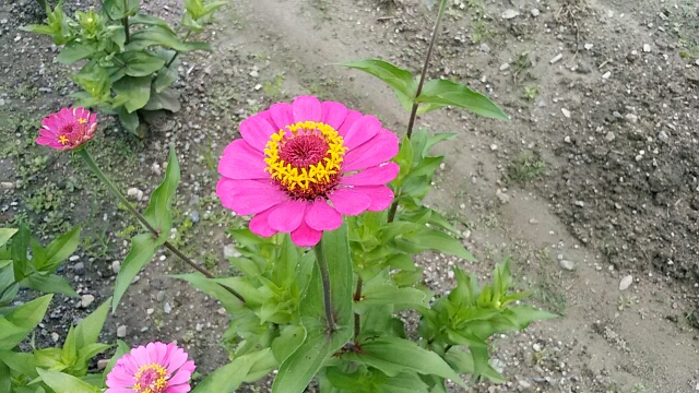f0231709_1315589.jpg