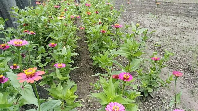 f0231709_132531.jpg