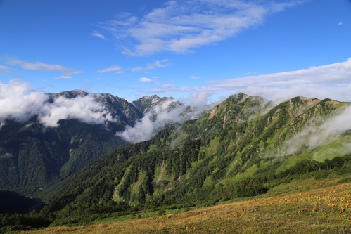 f0296109_1558831.jpg