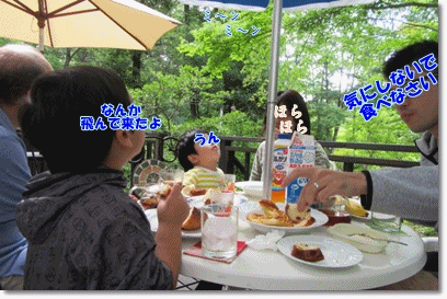 b0167519_935413.gif
