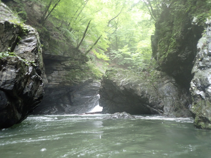 b0037220_08101846.jpg
