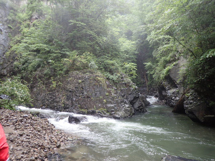 b0037220_08123438.jpg