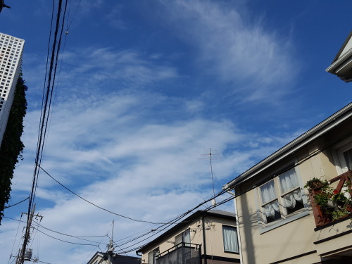 e0016828_10135864.jpg
