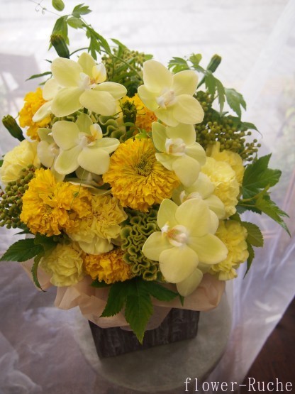 c0103830_13264632.jpg