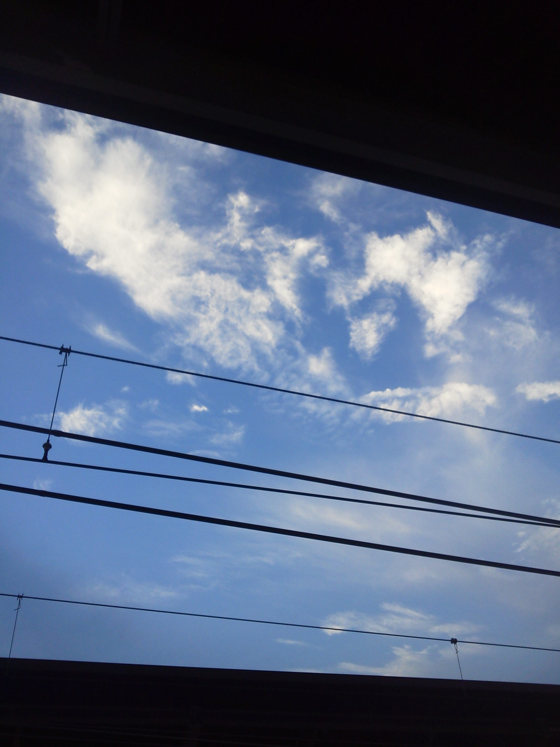 b0031140_17235075.jpg
