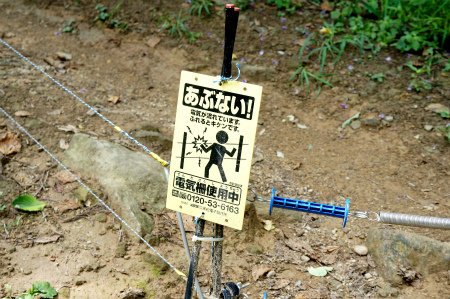 a0027641_7344760.jpg