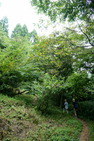 a0027641_7345544.jpg
