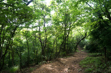 a0027641_7351335.jpg