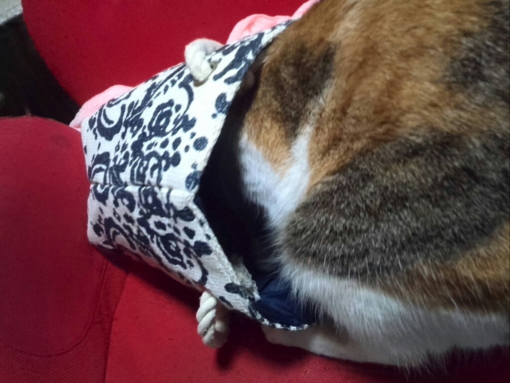 c0194042_13122068.jpg