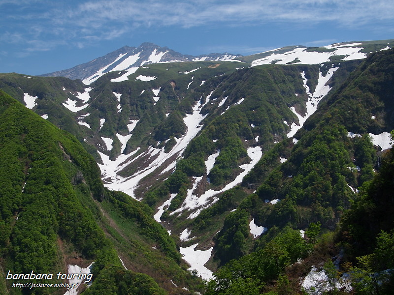 a0106043_0443137.jpg