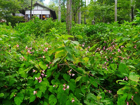 c0057946_2205811.jpg
