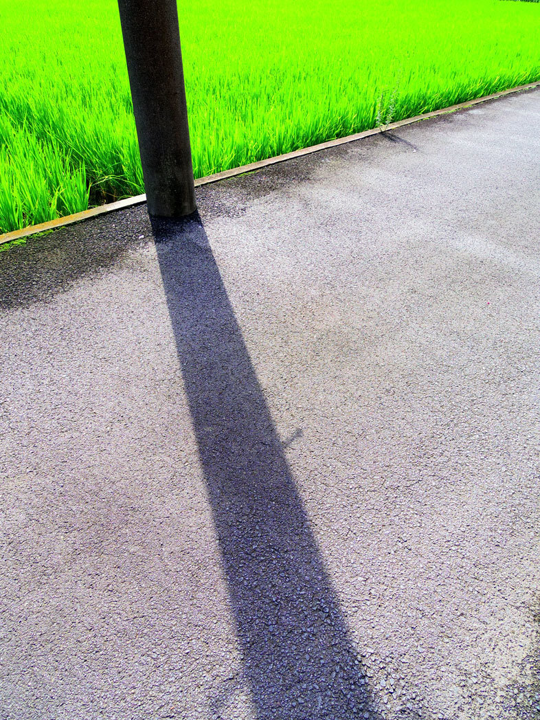 d0119451_18580483.jpg