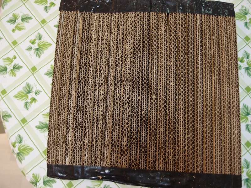 b0162357_14581020.jpg