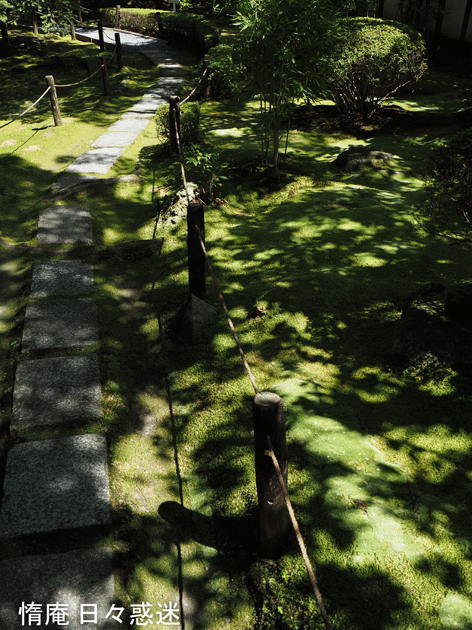 e0346064_16311889.gif