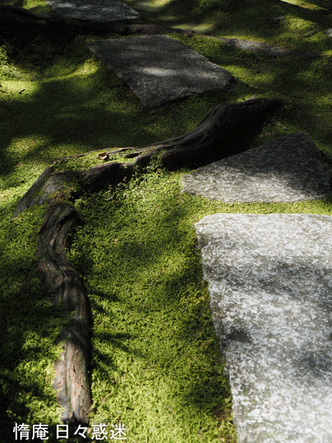e0346064_16312863.gif
