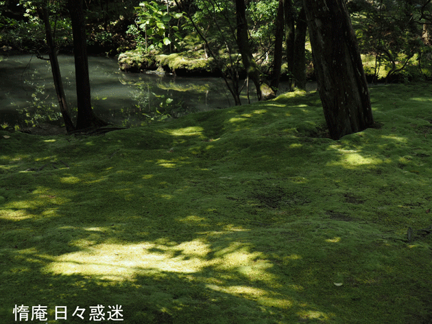 e0346064_16313957.gif