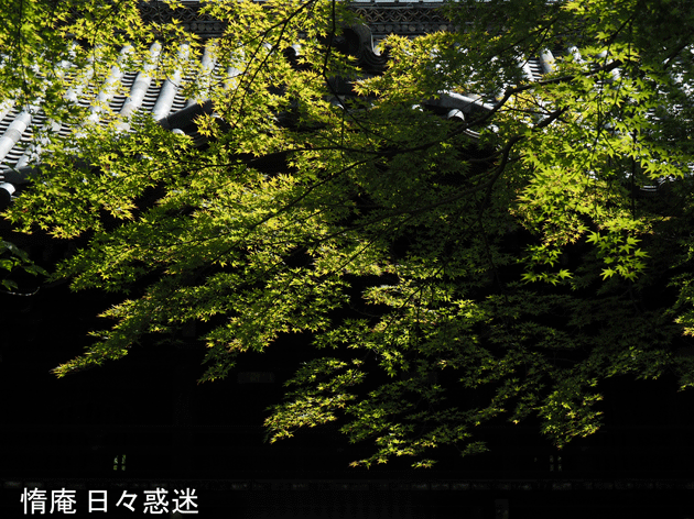 e0346064_1631928.gif