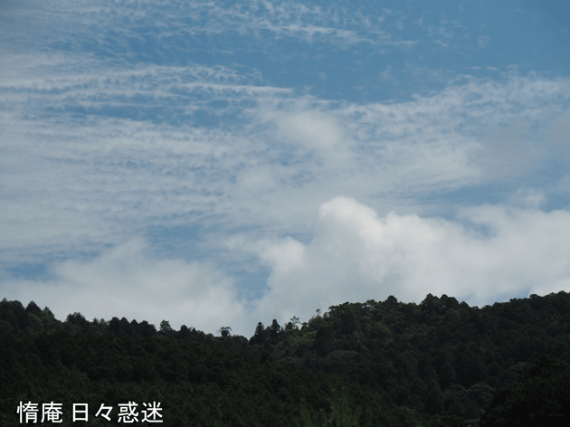 e0346064_16322545.gif