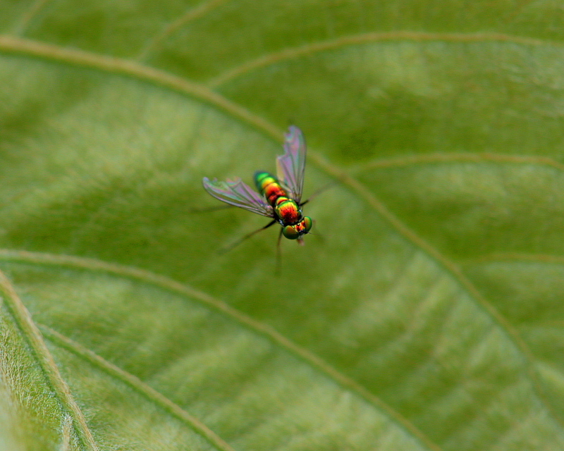 c0305565_18123654.jpg