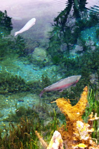 e0045768_22131114.jpg
