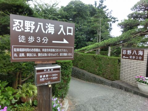 e0045768_2253533.jpg