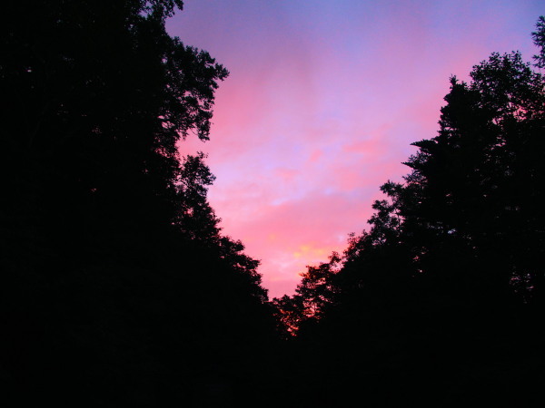 c0122670_23001483.jpg