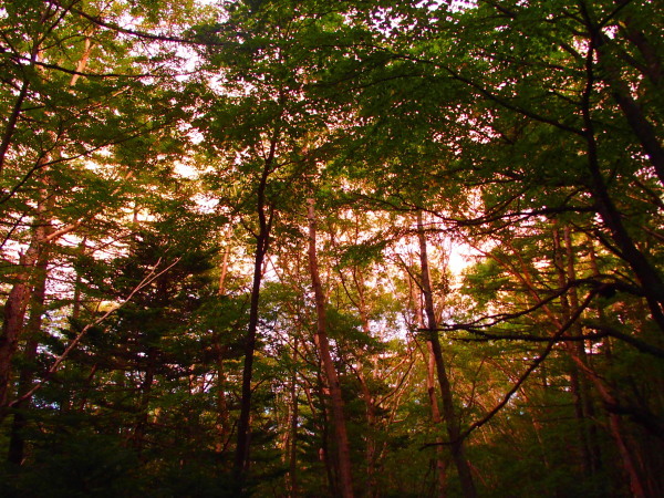c0122670_23001533.jpg